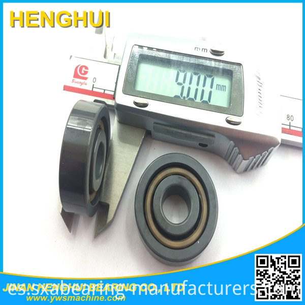 Ceramic Deep Groove Ball Bearing 6200